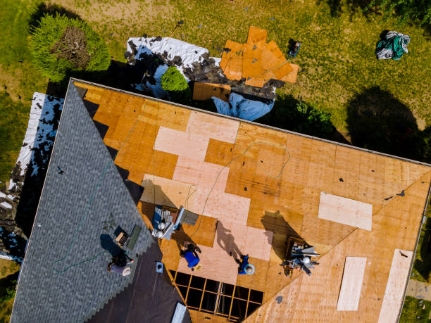 Best Commercial Roofing Services  in Oglethorpe, GA