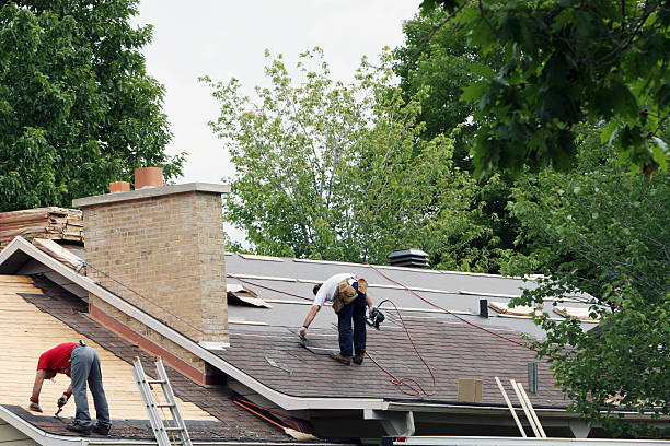 Best Gutter Installation and Roofing  in Oglethorpe, GA