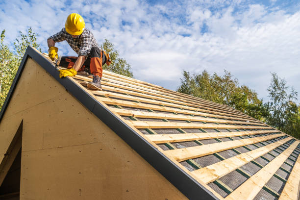 Best Roof Gutter Cleaning  in Oglethorpe, GA