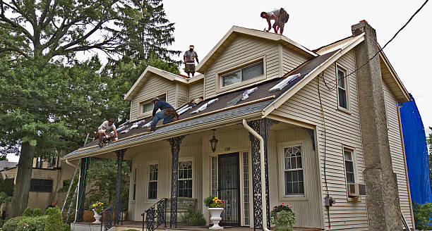 Best Roof Maintenance Services  in Oglethorpe, GA