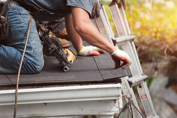 Best Shingle Roofing Installation  in Oglethorpe, GA