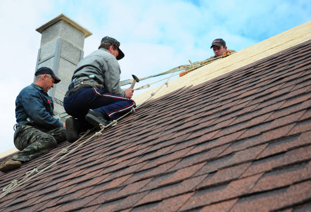 Best Residential Roofing Contractor  in Oglethorpe, GA